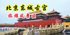 看带毛的大逼逼逼逼逼逼逼操大逼中国北京-东城古宫旅游风景区