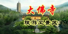 插插哦哦视频毛片中国浙江-新昌大佛寺旅游风景区
